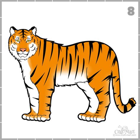 tiger drawings for beginners.